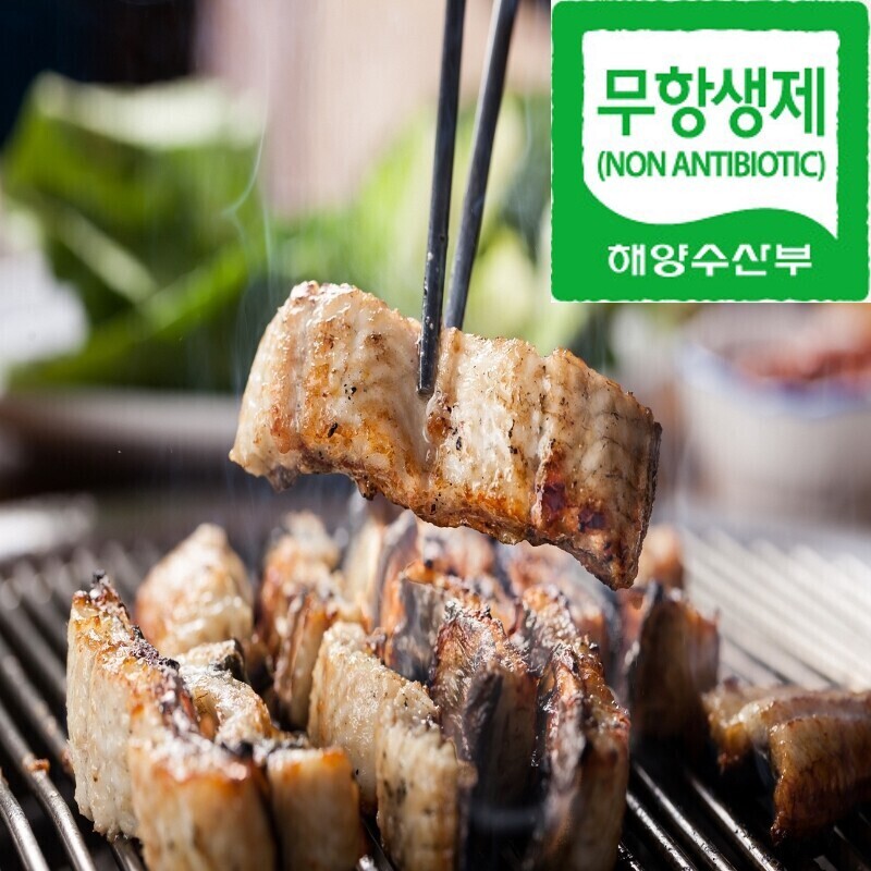 강원더몰,[라이브특가] 양양 장어촌 무항생제 국산 민물장어 자포니카종 1kg