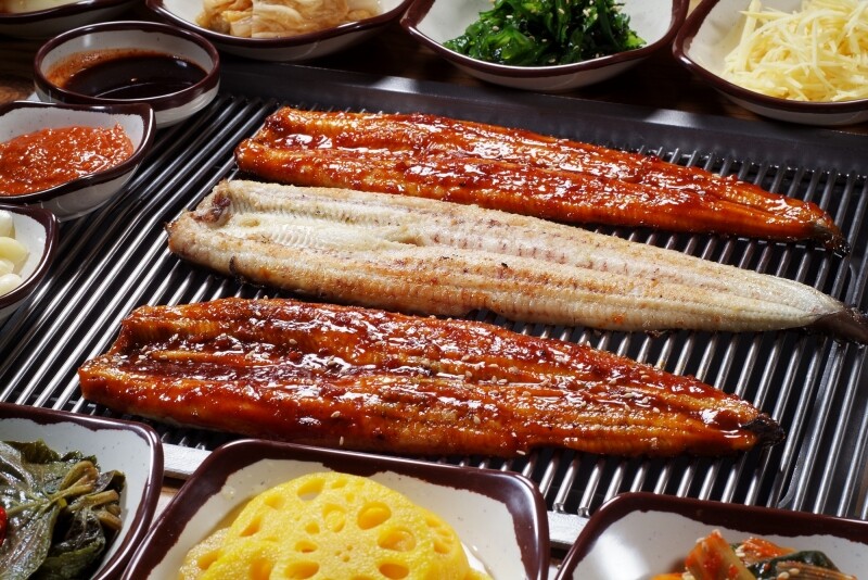 강원더몰,[라이브특가] 양양 장어촌 무항생제 국산 민물장어 자포니카종 1kg